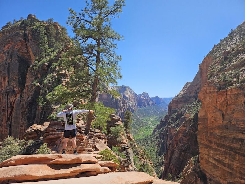 The view from Scout Lookout, looking down into Zion Canyon.